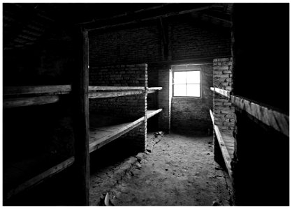 2016-11 Auschwitz- 21-20161111