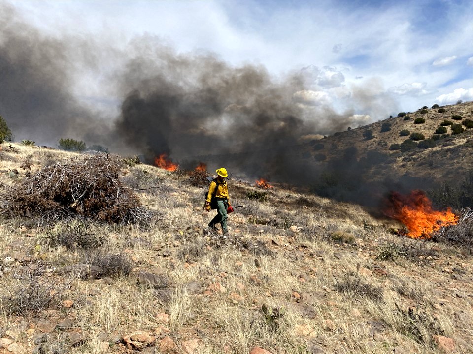 Black Hills Wash Prescribed Burn