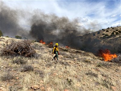 Black Hills Wash Prescribed Burn photo