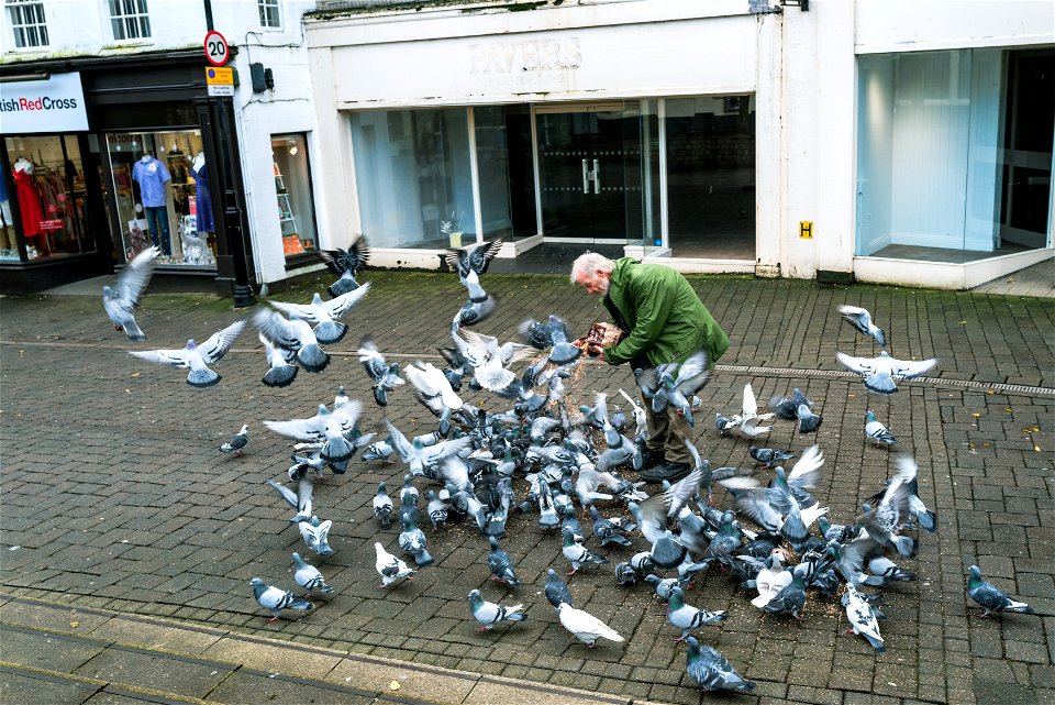 Birdman of Kendal (3 of 5)