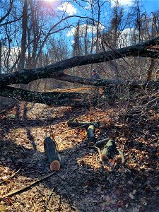 Trail Work on Fox Hollow Trail