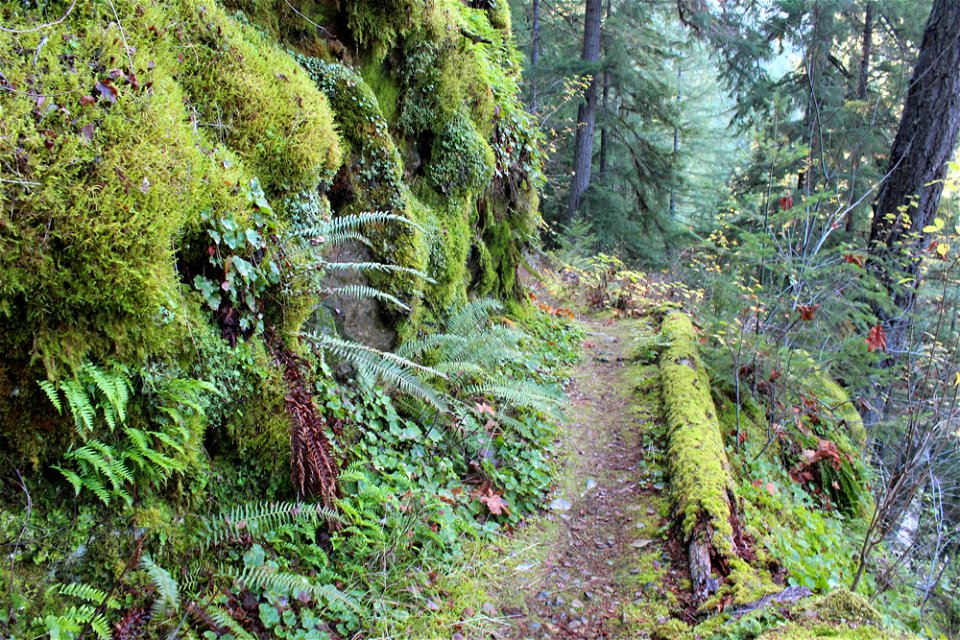 img_2229_trail32jpg_49364519381_o