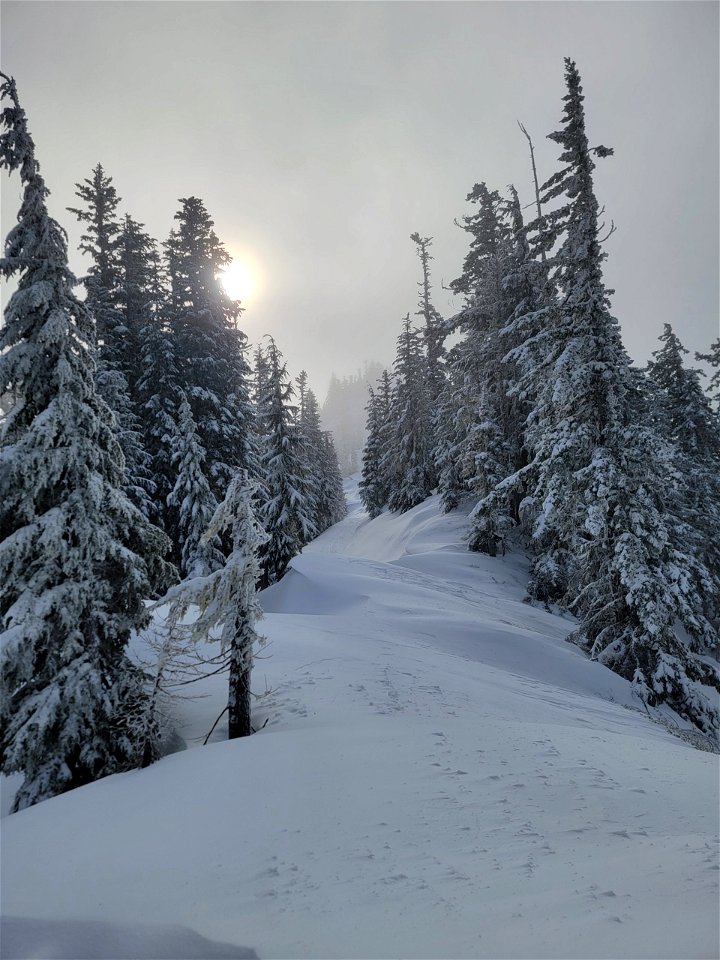 Winter snow on Mt. Hood National Forest near Bennett Pass