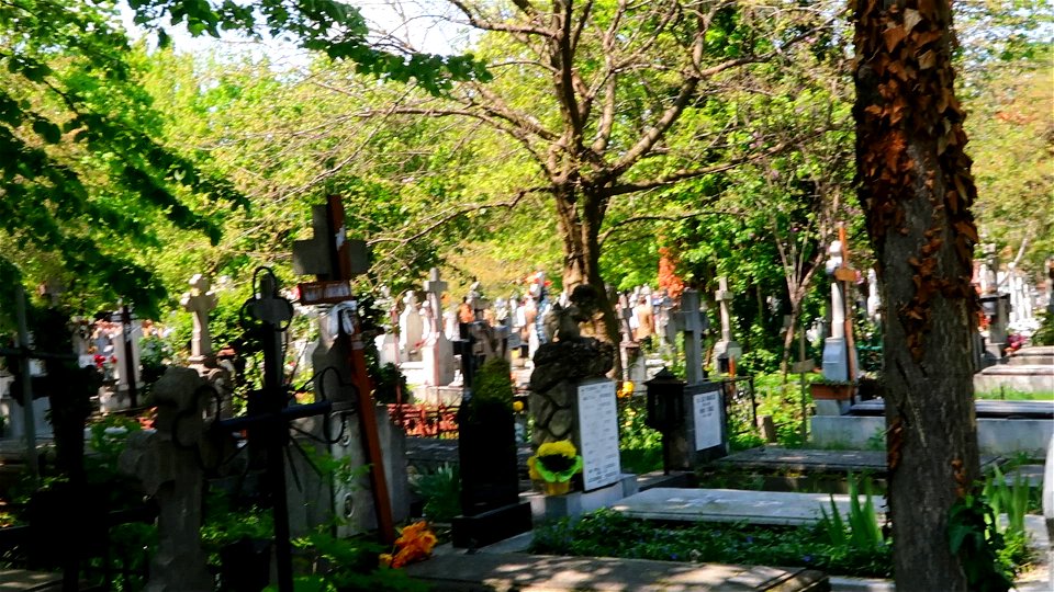 cimitir Sfanta Vineri (4)
