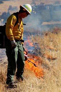 Dripping Springs Natural Area Prescribed Burn