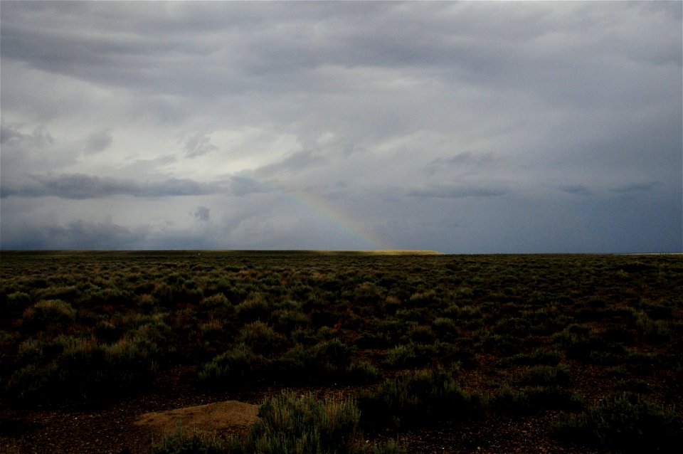 Rain in the sage steppe at Seedskadee National Wildlife Refuge Wyoming