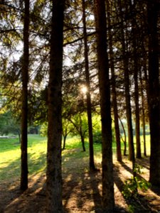manastirea_Neamtz2015_0809_064123