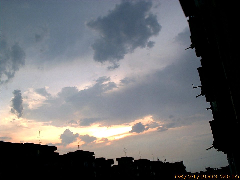 apus-caleavitan2003_0626_220220_17333723285_o