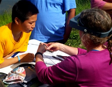 Bird banding
