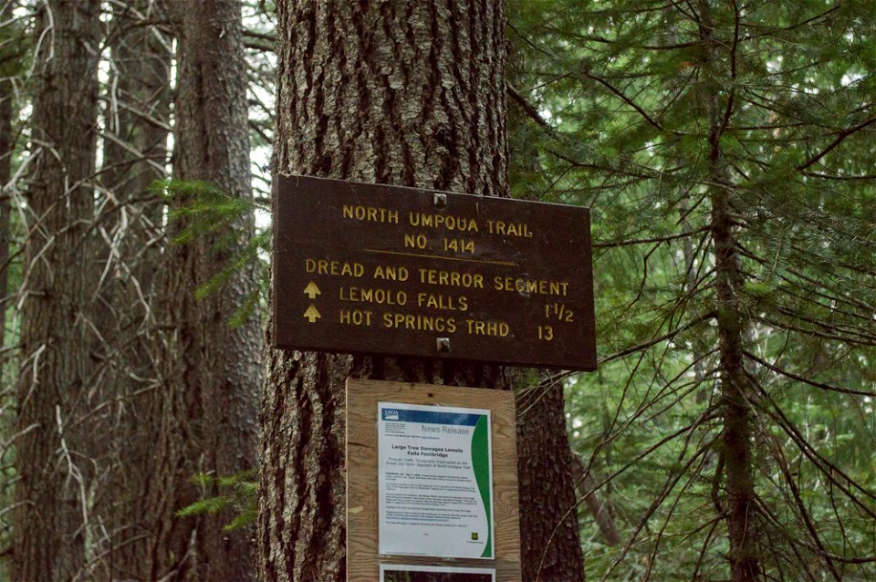 untitled-1376jpg_49364745837_o