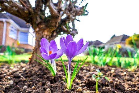 Spring has sprung