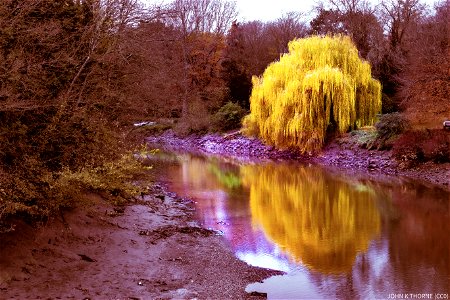 Low tide Aylesford River Medway photo