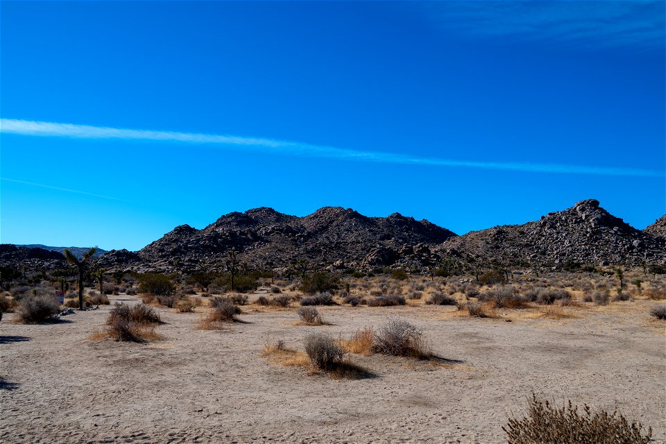 Joshua Tree National Park