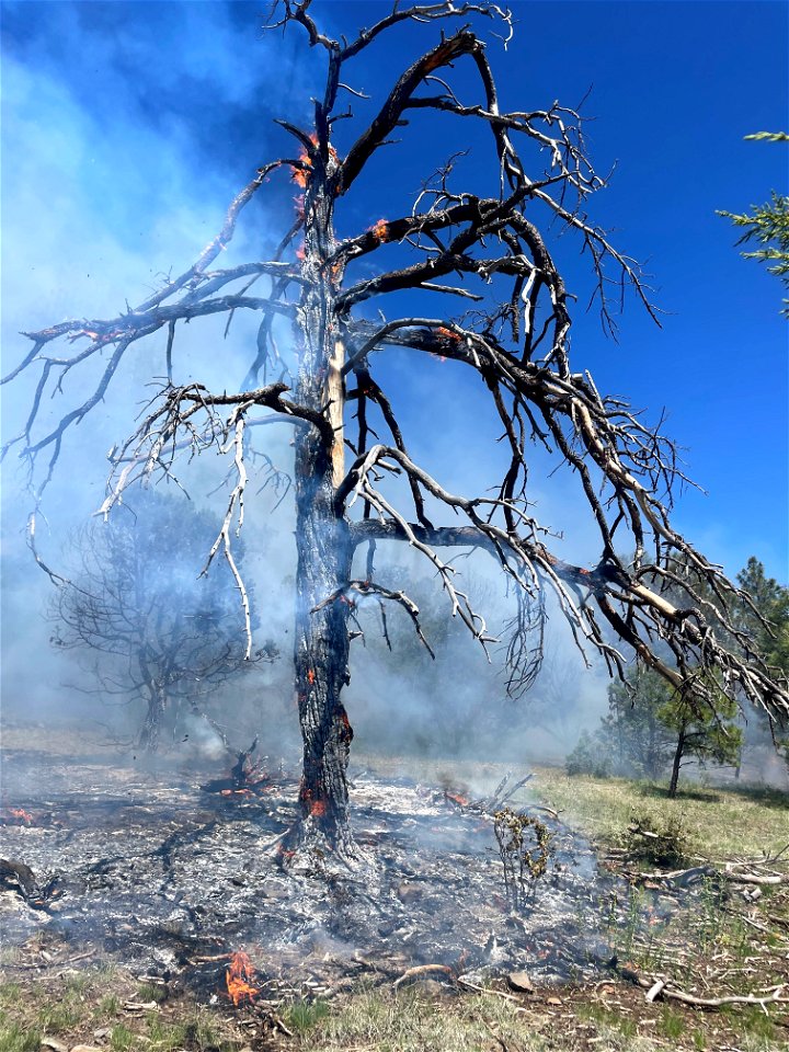 Volunteer Fire 2