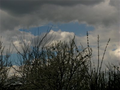 corcod2011_0411_151553