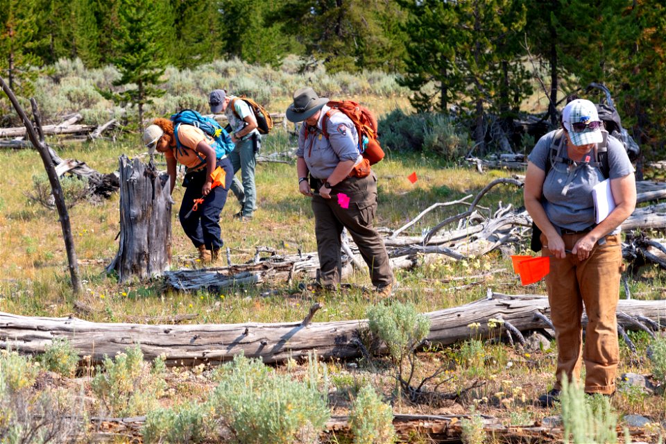 Salish Kootenai College Archaeology group: grid searching