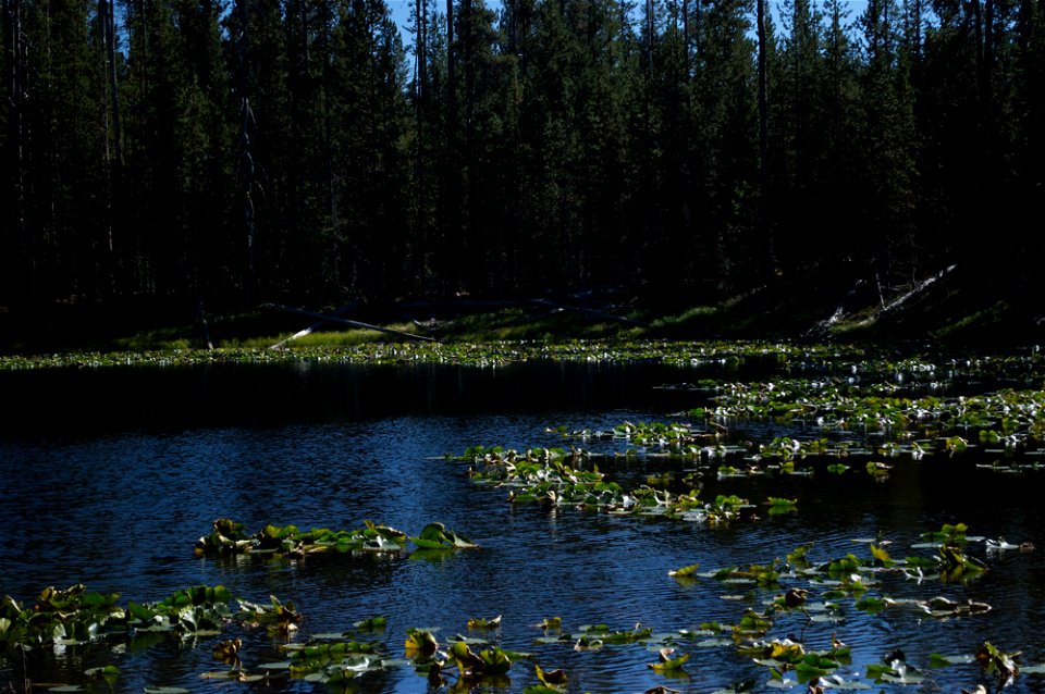 untitled-1165jpg_49385523891_o