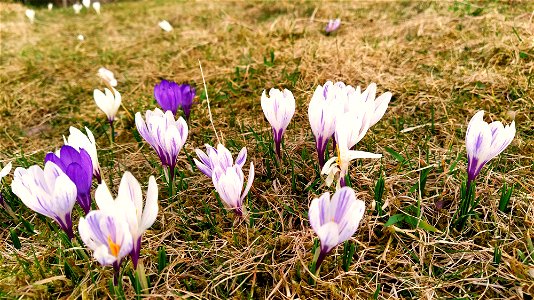 IMG_20220414_181959