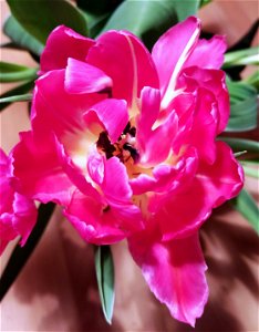 IMG_20220213_194621