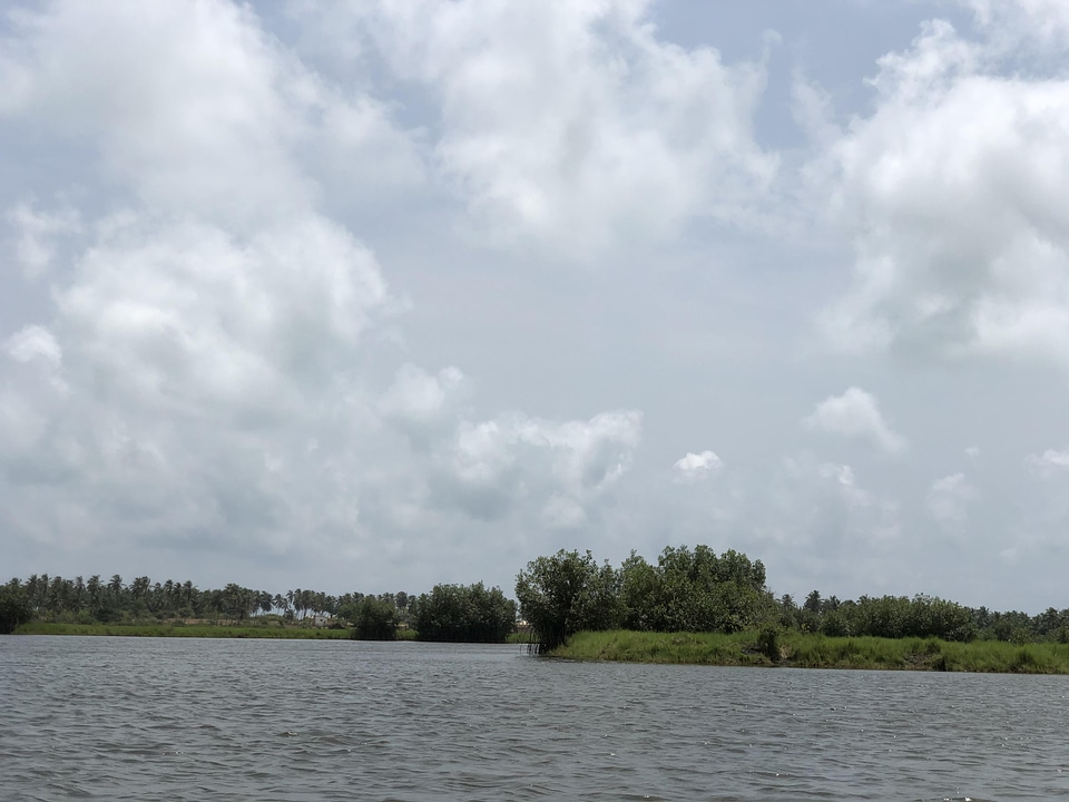 Salt river mangrove ecotourism