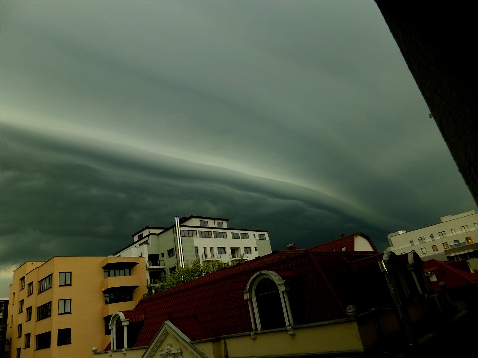 nori-sediu2015_0507_075242