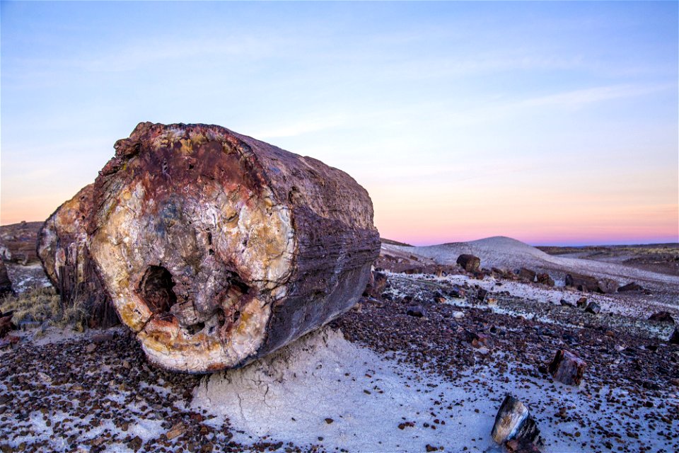 Petrified log, Crystal Forest, NPS-Jacob Holgerson 2