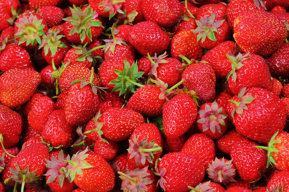 Freshness nature ripe