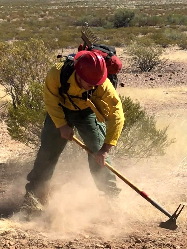 Wildland firefighters for the Gila District