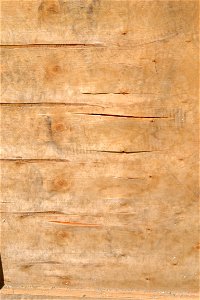 Texture