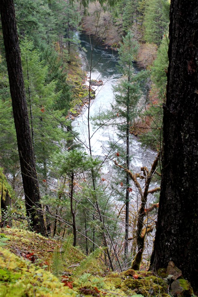 img_2185_view-of-nu-river-from-trail6jpg_49364049423_o