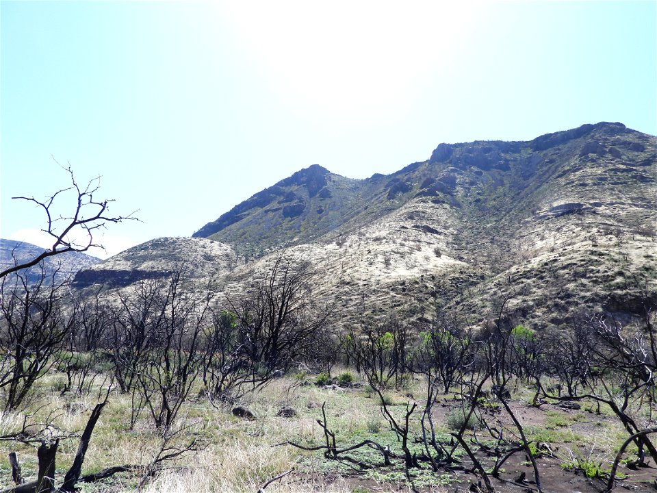 Fossil Creek Soil Monitoring photo