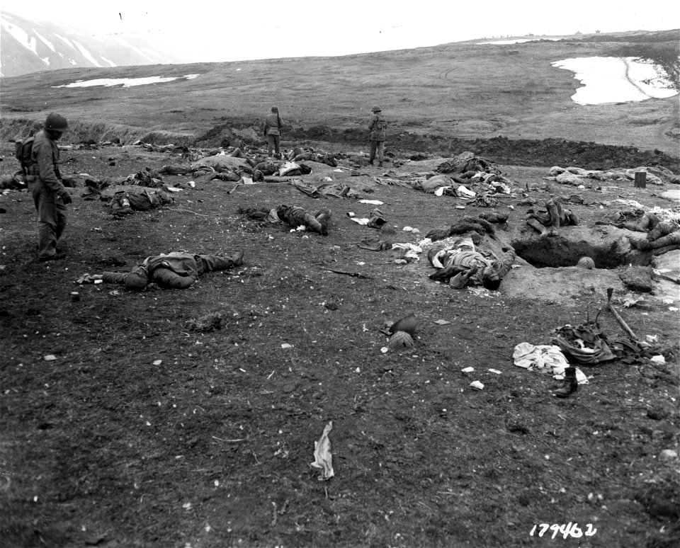 SC 179462 - The bodies of Japanese soldiers killed in the rear of our kitchens that they had looted.