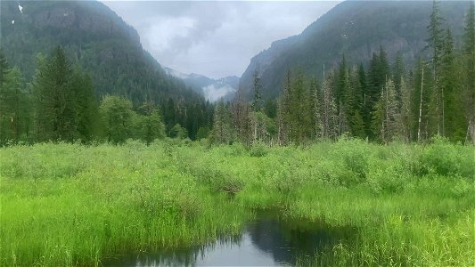 Big Four, Mt. Baker-Snoqualmie NAtional FOrest, Video by Sydney Corral June 18, 2021