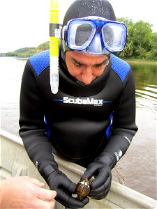 Midwest Regional Director Tom Melius holds a monkeyface mussel photo