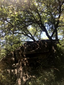IMG_7017_DMNA_GraniteBouldersAndOaks