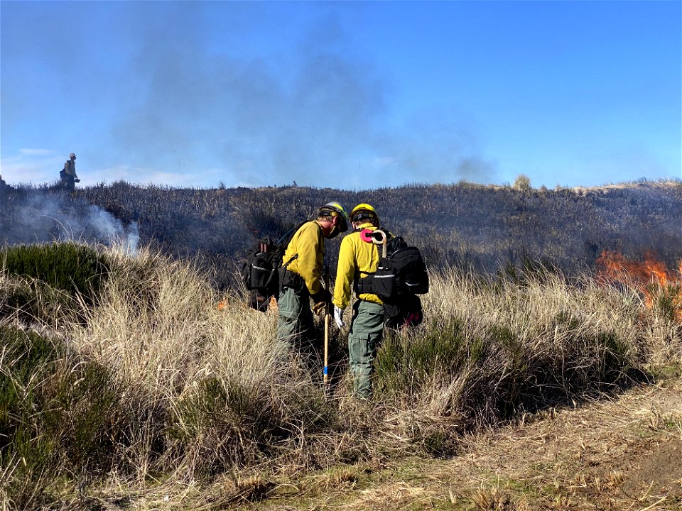 Siuslaw Oregon Dunes Prescribed Burn 2022
