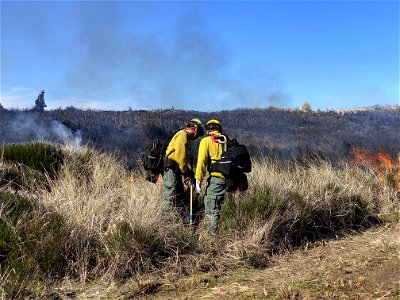 Siuslaw Oregon Dunes Prescribed Burn 2022 photo