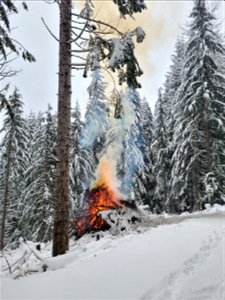 Pile burning on the Gifford Pinchot National Forest on Nove 30, 2022. Snowy conditions reduce the risk of fires escaping safety perimeters while still allowing burn objectives to be accomplished.