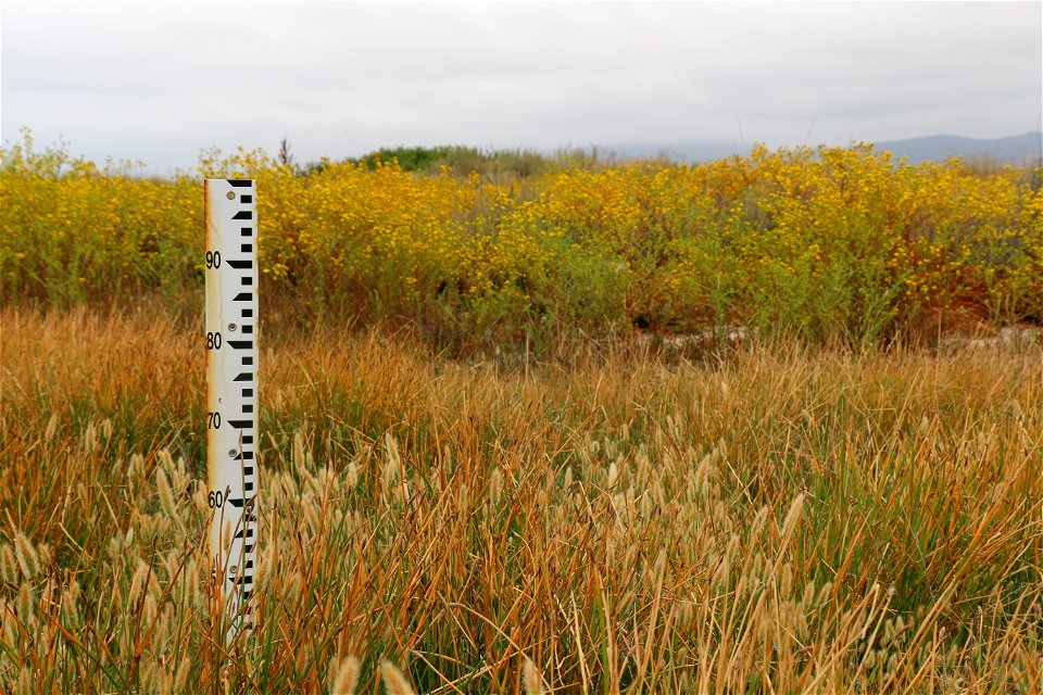 vernal pool/USFWS