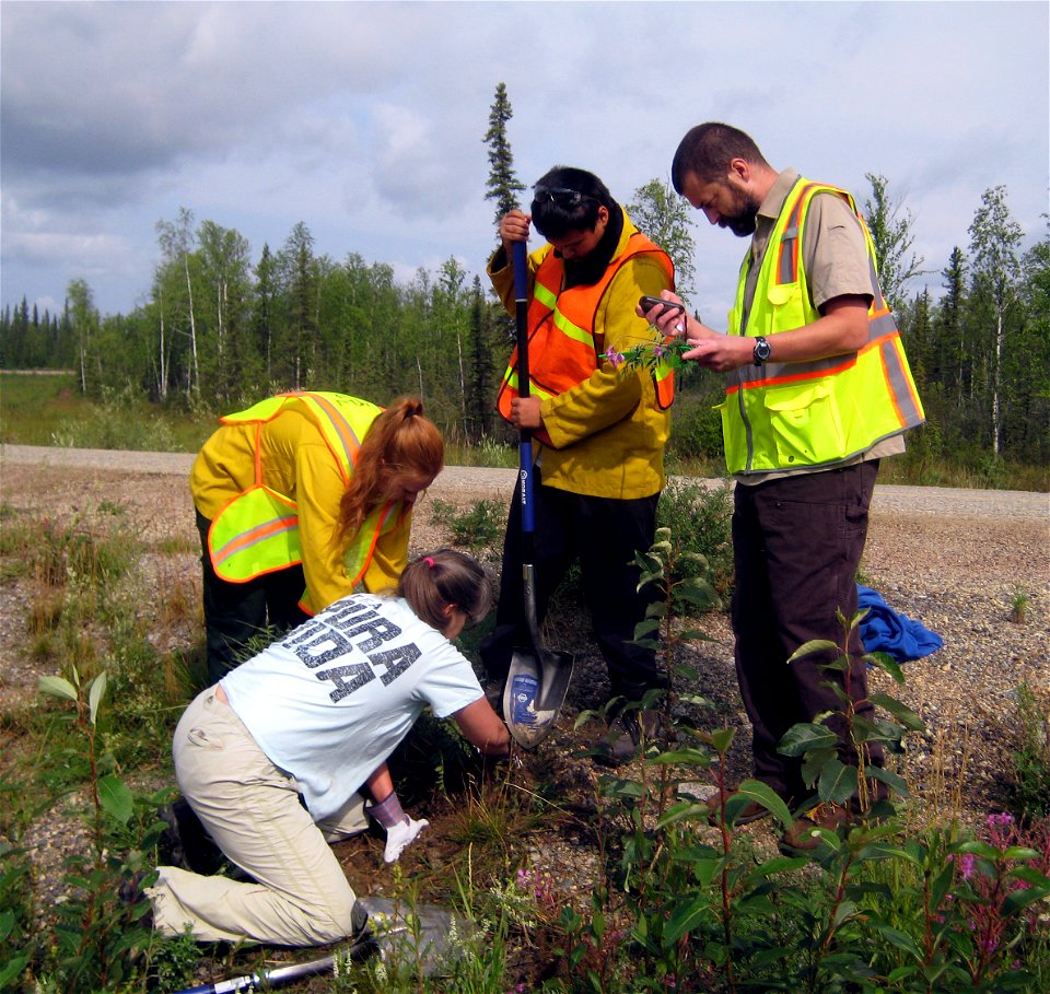 2015_Tetlin_YCC (28)
