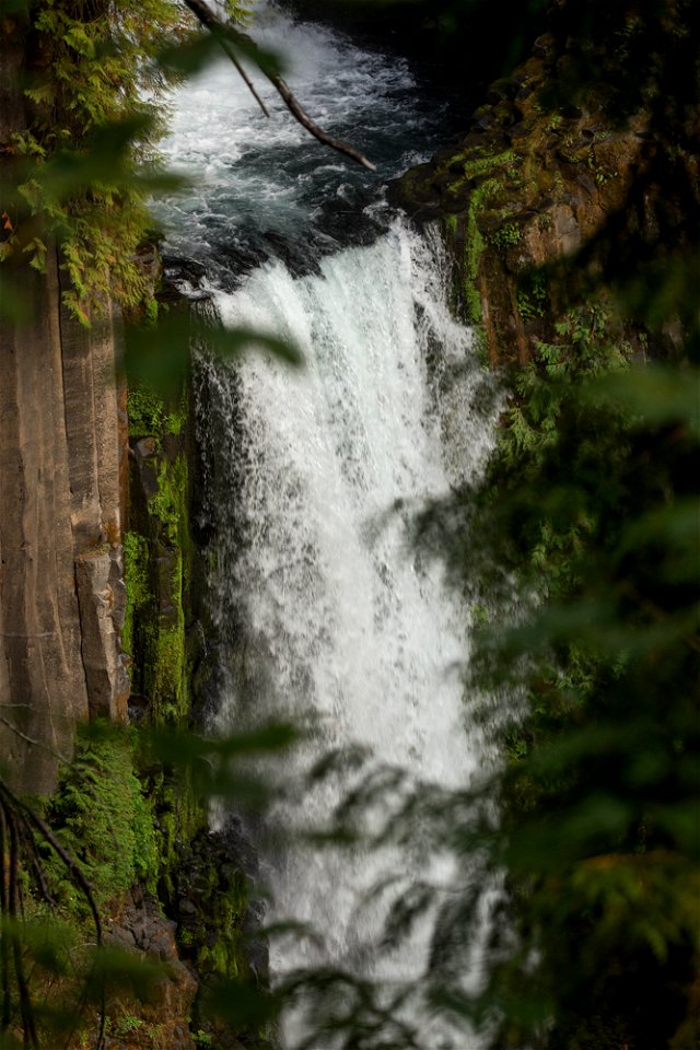 or_17-09-08_0858jpg_49364024478_o