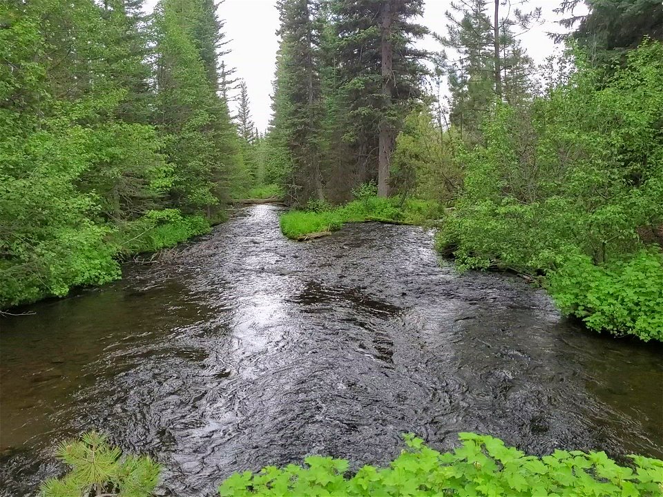 Malheur National Forest Big Creek on the South Side of Strawberry Mountain