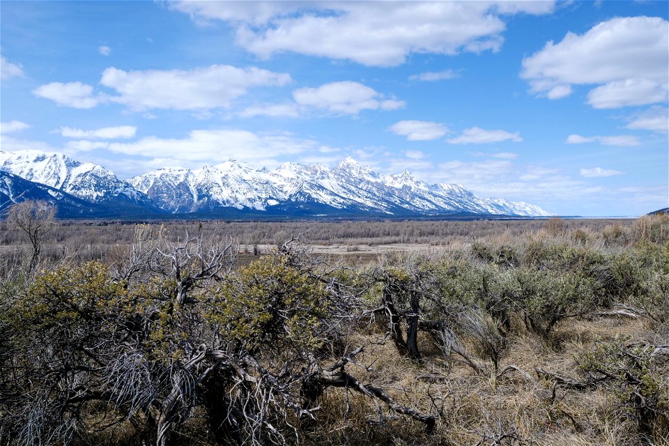 Spring on the National Elk Refuge