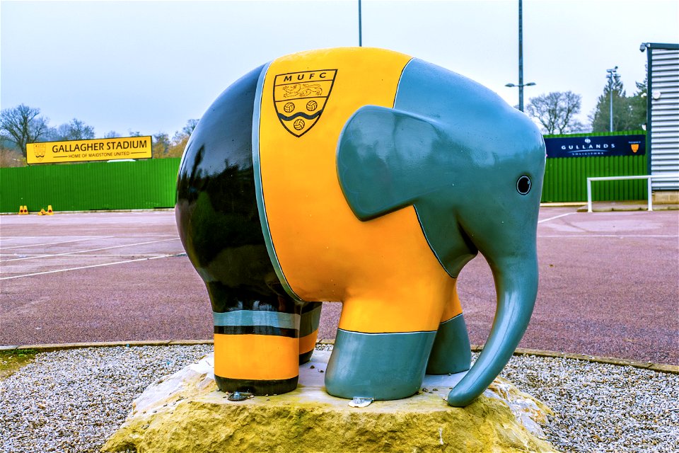 Maidstone United Football Club