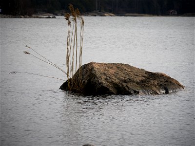 When I grow up I want to be an island