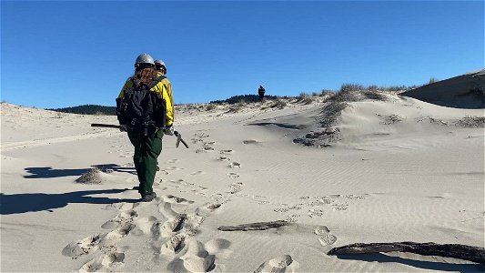 Siuslaw Oregon Dunes Prescribed Burn 2022 photo