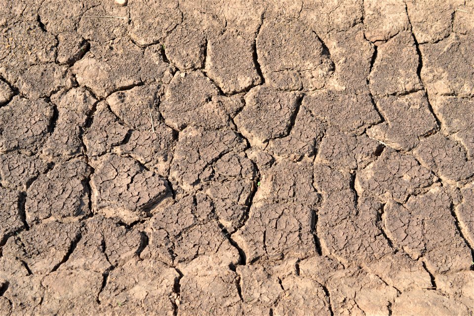 Free textures with cracks