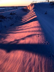 Colors Along the Snow Drift