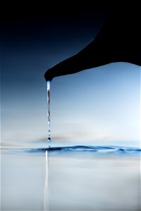 Bird bill water drop