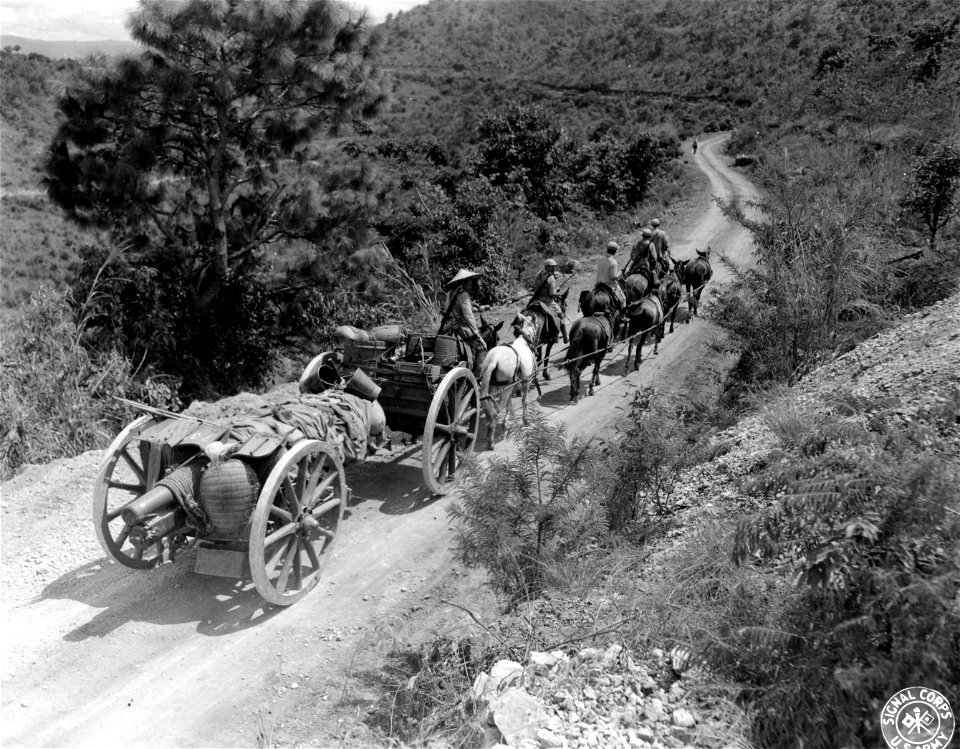 SC 196168 - Ten mule team draws heavy Chinese howitzer over many mountains in the Burma Road on its way to the fighting at Tung Ling, Yunnan, China.